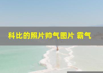 科比的照片帅气图片 霸气